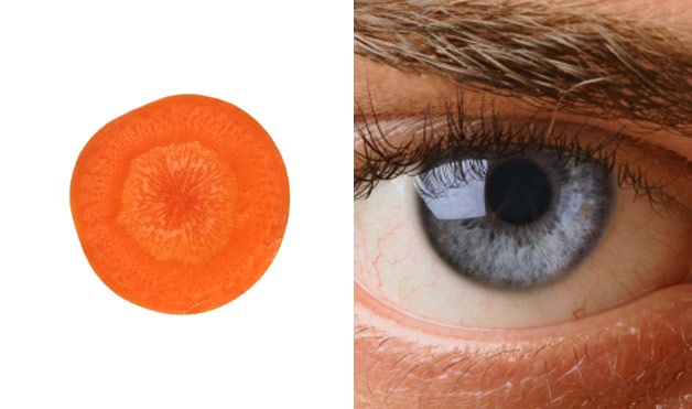 carrot-eye-foods-that-look-like-body