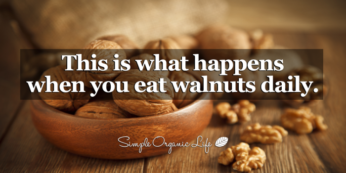 Eat 5 Walnuts And Wait 4 Hours – This Is What Happens To You